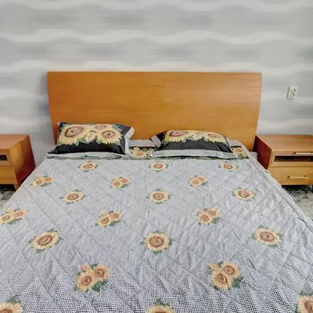 Apartment Deribasovskaya